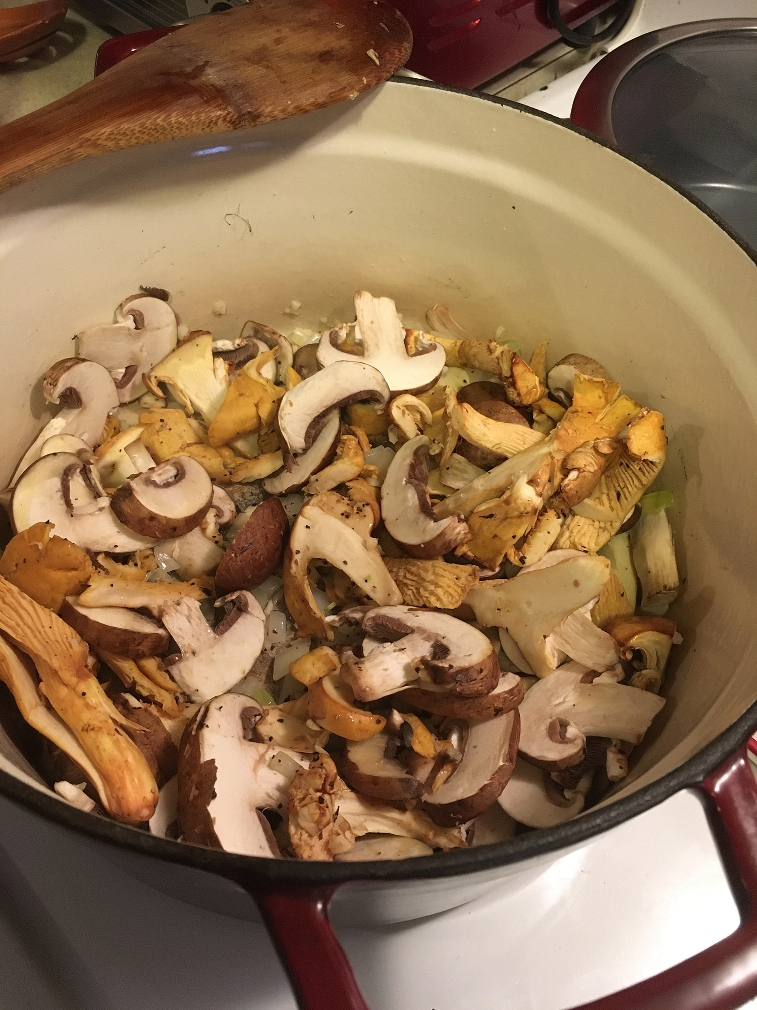 Wild Mushroom and Blue Cheese Orecchiette