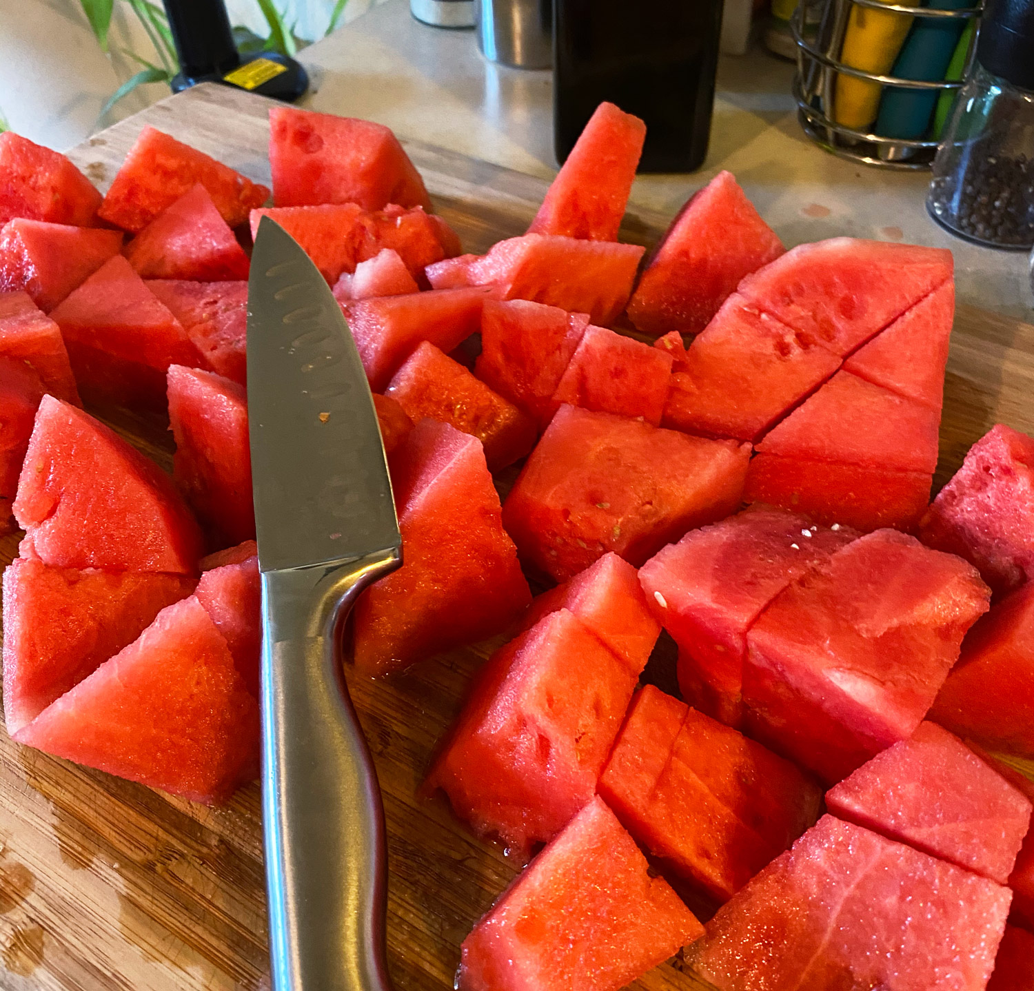 Watermelon Sorbet